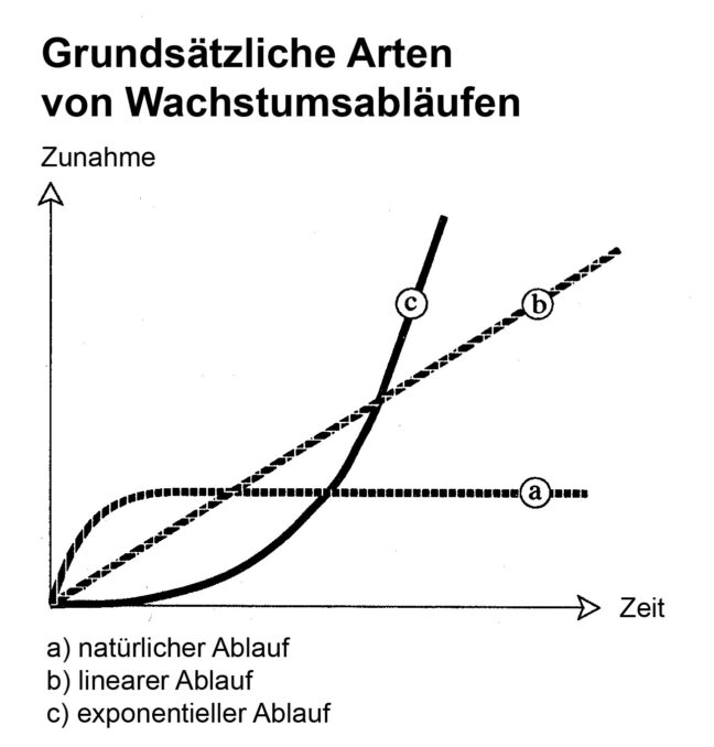 Abbildung: Grundsätzliche Arten von Wachstumsabläufen
